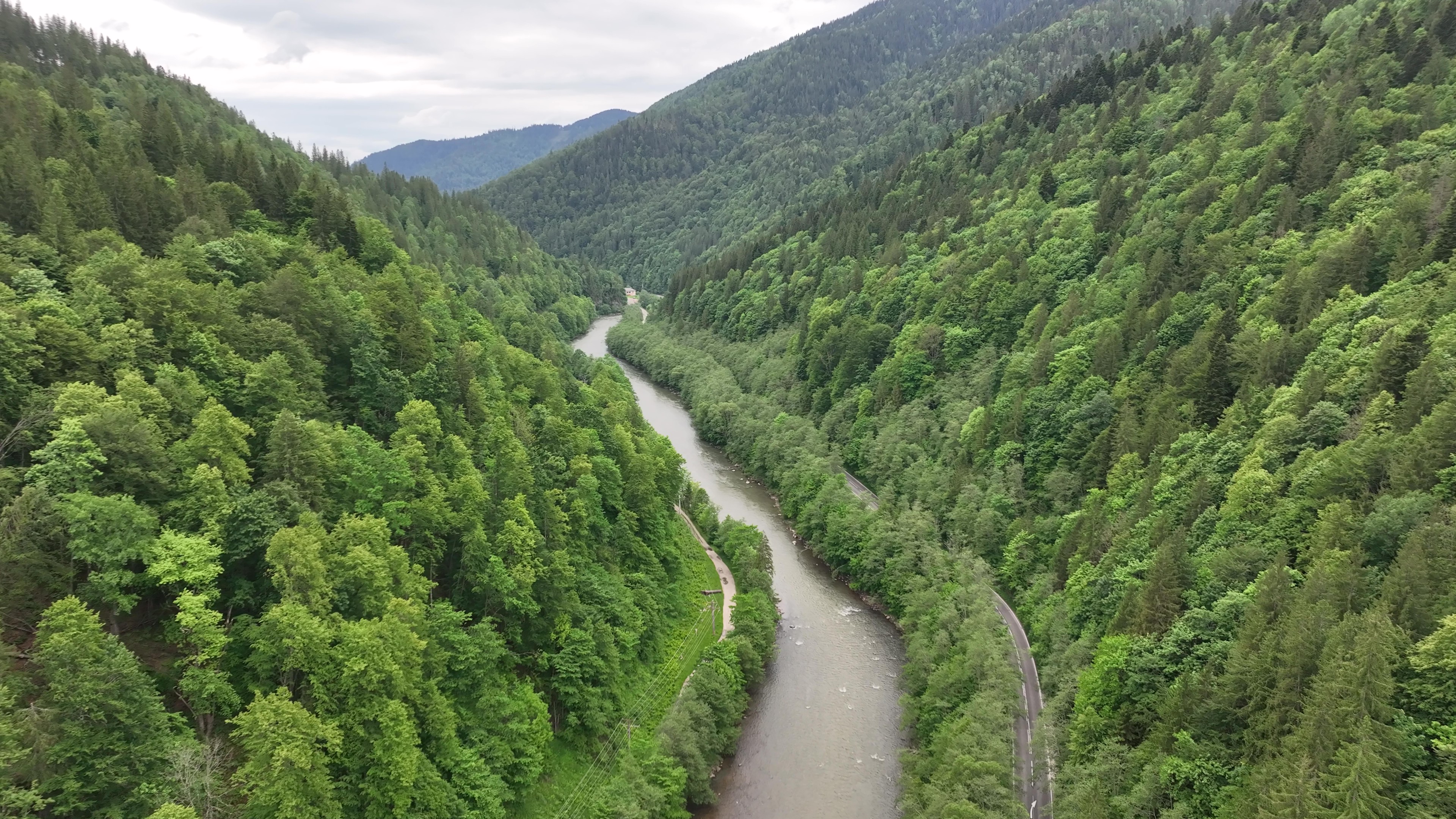 Valea Bistritei Landscape